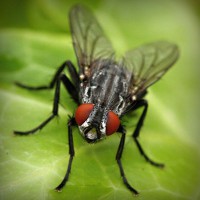 /album/pabelljite/photolia-a01-jpg/