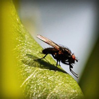 /album/pabelljite/photolia-a04-jpg/