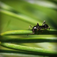 /album/pabelljite/photolia-a05-jpg/