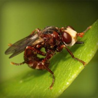 /album/pabelljite/photolia-a06-jpg/