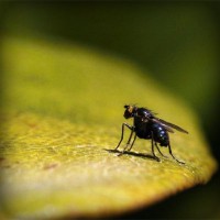 /album/pabelljite/photolia-a07-jpg/